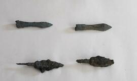 Radiniai Klaipėdos piliavietėje