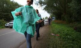 Karklė 2014 Live Music Beach