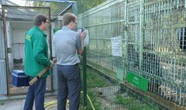 Meškos Laimos išvežimas iš Karklės