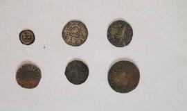 Radiniai Klaipėdos piliavietėje