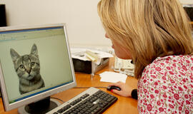 Interneto svetainių skaičius perkopė milijardo ribą