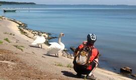 Neringos kurortams grasina smegduobės