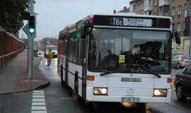 Greičiausieji Klaipėdoje - autobusas ir dviratis