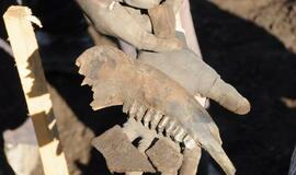 Radiniai Piliavietėje