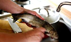 Specialistai rekomenduoja: žuvies diena - kad ir kas antra