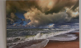 Atkapstytas Arvydo Stubros lobis