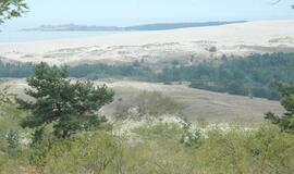 Kuršių nerijos parkui - tarptautinis įvertinimas