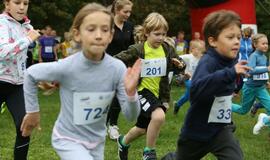 Gintarinė jūrmylė 2014