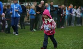 Gintarinė jūrmylė 2014