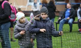 Gintarinė jūrmylė 2014