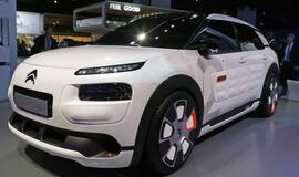 Žvelgiant į ateitį iš Paryžiaus