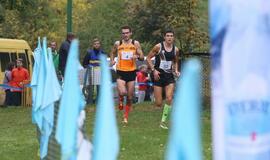 Gintarinė jūrmylė 2014