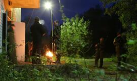 Pratybos "Staigus atsakas"