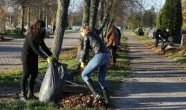 Kapinių tvarkymo akcija