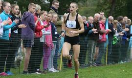 Gintarinė jūrmylė 2014