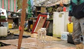 Benamių bakūžėms Pievų gatvėje - galas