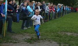 Gintarinė jūrmylė 2014