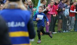 Gintarinė jūrmylė 2014