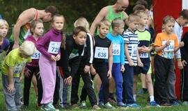 Gintarinė jūrmylė 2014