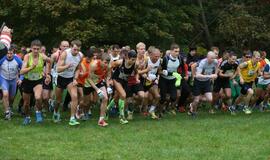 Gintarinė jūrmylė 2014