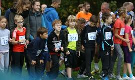 Gintarinė jūrmylė 2014