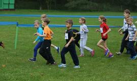 Gintarinė jūrmylė 2014