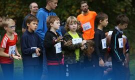 Gintarinė jūrmylė 2014