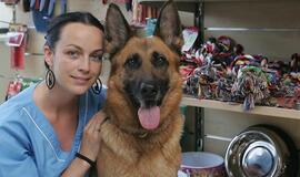 Augintinius bus būtina ženklinti mikroschemomis