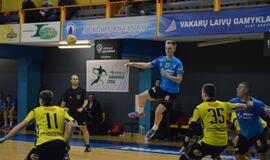 Klaipėdos "Dragūnas" - Dobelės "Tenax" 31:29