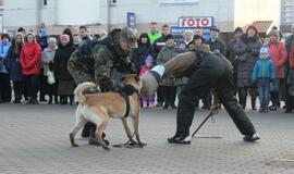 Žemaitijoje vyko iškilmingi kariuomenės dienos minėjimai