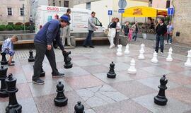 Tęsiasi vandalų išpuoliai prieš senamiesčio puošmenas