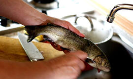 Ant Kūčių stalo – vienas toksiškiausių produktų