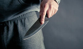 Bandydami pavogti rankinę peiliu sužalojo merginą