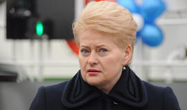 Dalia Grybauskaitė: teisėjo pareiga - tarnauti tiesai ir žmogiškumui