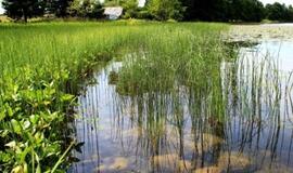 Kašučių kūlgrindai – valstybės apsauga