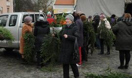 Teatro aikštėje išdalintos eglių šakos