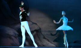 Moscow City Ballet - Gulbių ežeras (Švyturio arena)