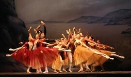 Moscow City Ballet - Gulbių ežeras (Švyturio arena)