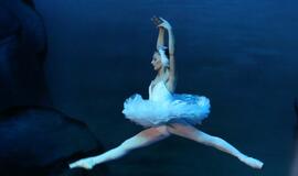 Moscow City Ballet - Gulbių ežeras (Švyturio arena)