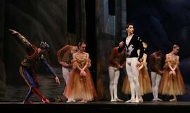 Moscow City Ballet - Gulbių ežeras (Švyturio arena)
