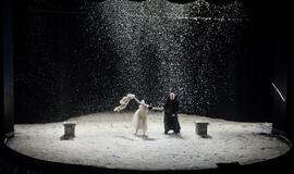 Vilniaus mažojo teatro spektaklis „Maskaradas"