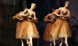 Moscow City Ballet - Gulbių ežeras (Švyturio arena)