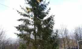 Eglučių miesto kiemuose puošimas