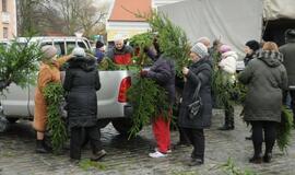 Teatro aikštėje išdalintos eglių šakos