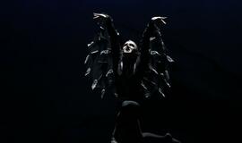 Moscow City Ballet - Gulbių ežeras (Švyturio arena)