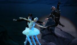 Moscow City Ballet - Gulbių ežeras (Švyturio arena)