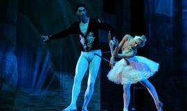 Moscow City Ballet - Gulbių ežeras (Švyturio arena)