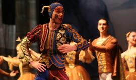 Moscow City Ballet - Gulbių ežeras (Švyturio arena)
