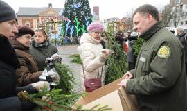 Teatro aikštėje išdalintos eglių šakos