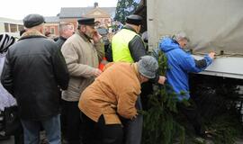 Teatro aikštėje išdalintos eglių šakos
